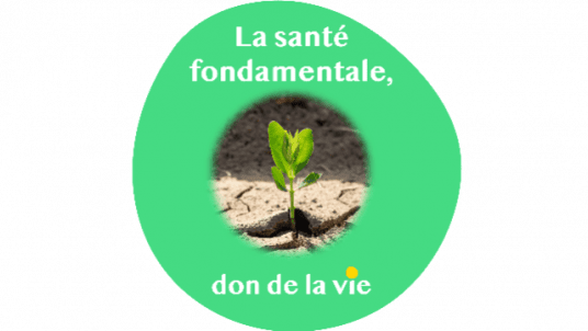 Week-end : La santé primordiale