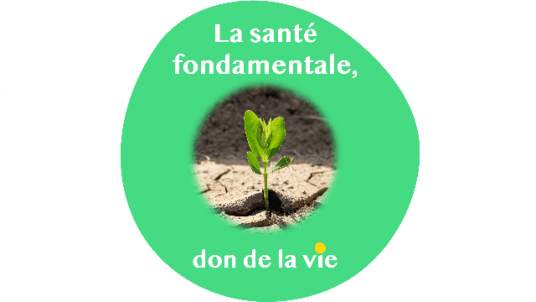 Week-end : La santé fondamentale, don de la vie